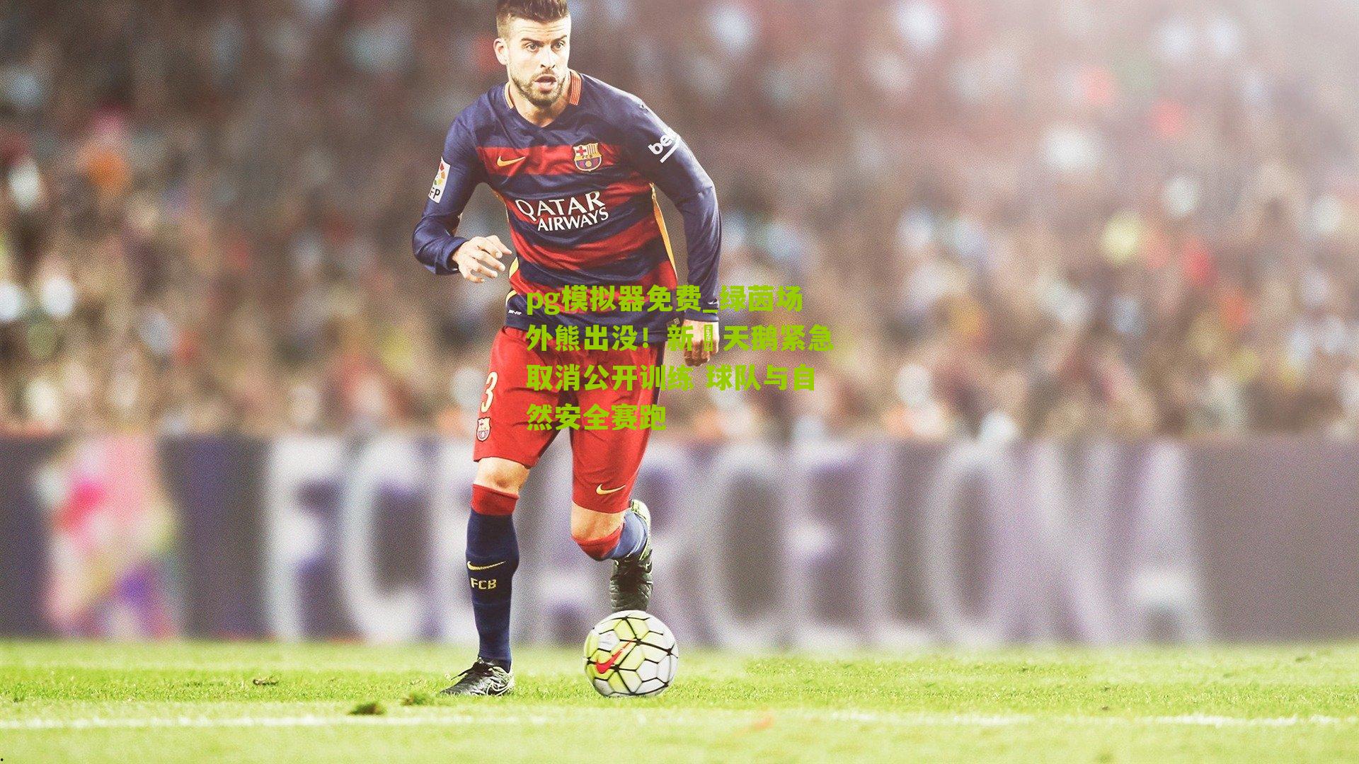 pg模拟器免费_绿茵场外熊出没！新潟天鹅紧急取消公开训练 球队与自然安全赛跑